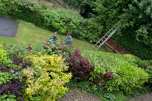 20240522_Gardeners