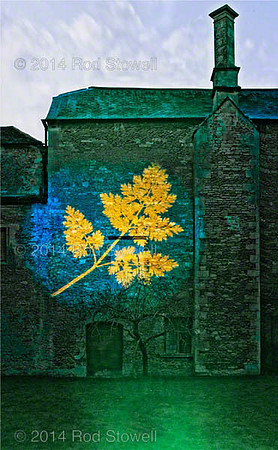 Leaf projection Cloister Garth